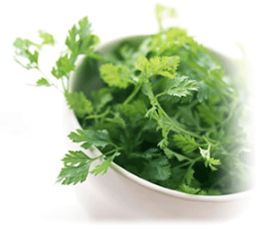 �C���[�W�F�A��